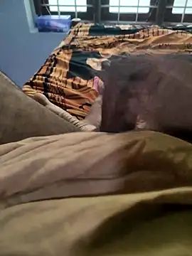 Sanjaymartin29 online show from September 2025 01:49:01 AM