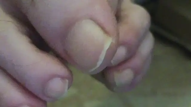 Snapshot of curiosillo83 chatting on June 2026 02:35:02 AM curiosillo83 online show from June 2026 02:35:02 AM