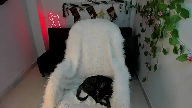 Nanami 19 online show from December 2024 07:21:01 PM