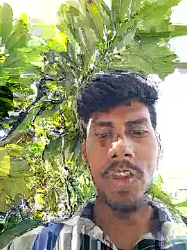ANIMEL 2 online show from May 2026 10:44:02 AM