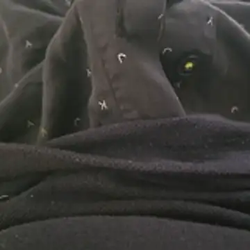 surfer fun29 online show from December 2025 05:35:02 AM