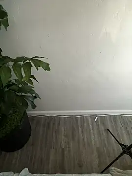 demonslayerr999 online show from February 2025 04:24:02 PM