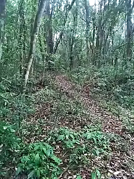 Snapshot of OFICINA_Simas-Turbo chatting on September 2025 07:37:01 PM OFICINA Simas-Turbo online show from September 2025 07:37:01 PM