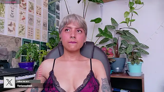 Yeriawaddell  online show from February 2026 05:42:02 PM