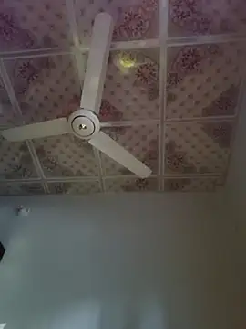 Dil-Ka-Radhika online show from November 2025 01:41:02 AM