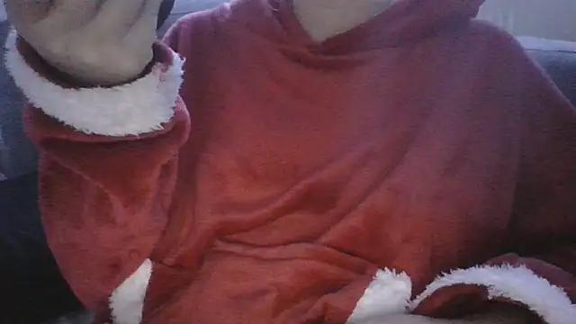 DragoneSFR online show from January 2026 04:12:02 PM