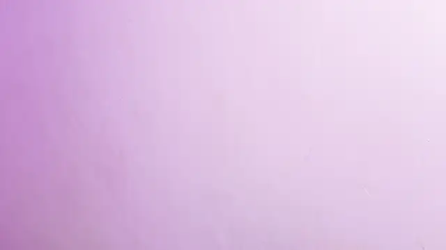 Sachi Meow online show from April 2026 05:21:01 PM