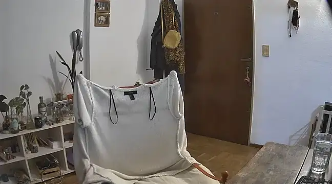 stupid babybird online show from December 2024 04:52:01 AM