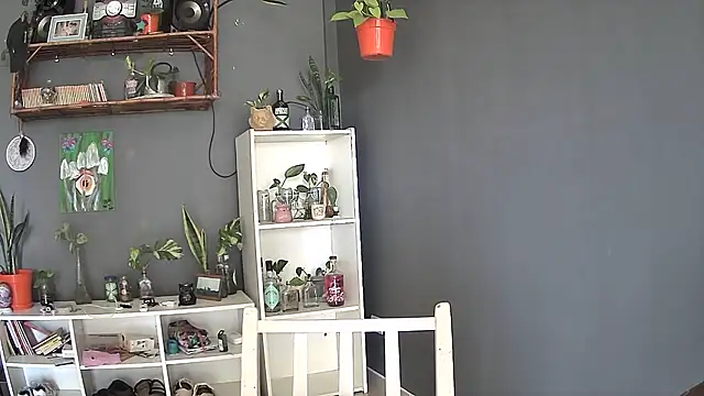 stupid babybird online show from March 2025 08:32:01 PM