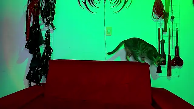 irregular fetish  online show from February 2026 06:59:01 PM