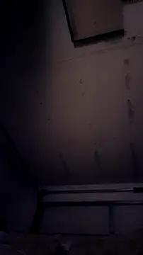 Forbidden daddy online show from April 2026 10:41:02 AM