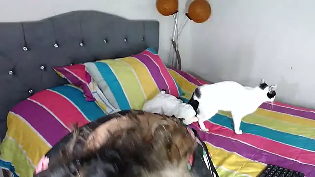 Chantal hott online show from October 2025 11:16:02 PM