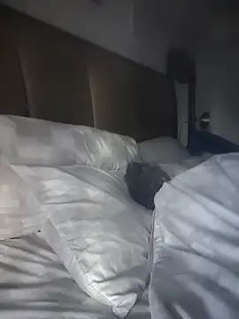 CeceilaMoon online show from April 2026 01:06:02 PM