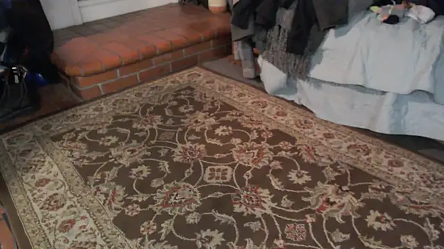 Dark Asteroid online show from March 2026 12:23:02 PM