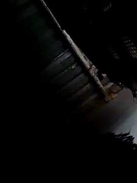 Moreno1813 online show from February 2025 08:33:02 AM