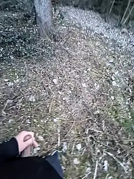 Snapshot of Picknick84 chatting on March 2025 05:23:02 PM Picknick84 online show from March 2025 05:23:02 PM