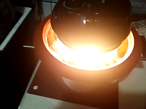 perversalus online show from December 2024 01:58:01 PM