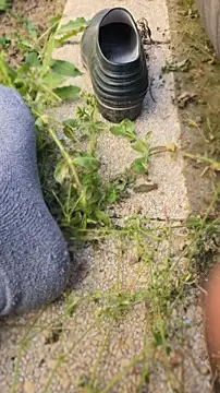 anald66666 online show from April 2026 12:29:02 PM