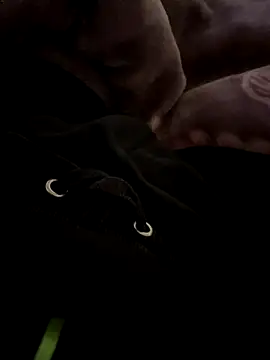 Snapshot of balamuc97 chatting on December 2025 11:52:02 AM balamuc97 online show from December 2025 11:52:02 AM