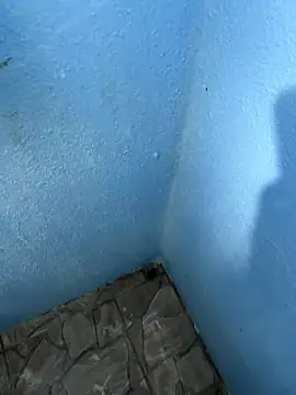 mfloressd14 online show from January 2026 06:21:02 PM