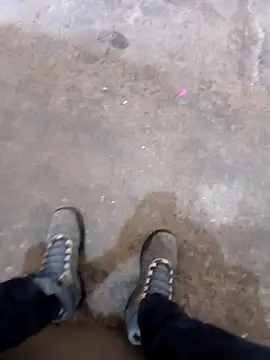 braza66 online show from November 2025 02:20:02 PM