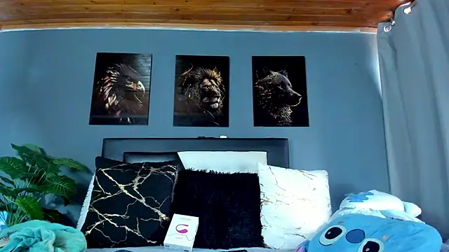 francesco evan online show from January 2026 02:20:01 PM