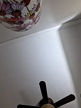 Zander823 online show from February 2026 11:10:01 PM