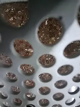 SexyErola27 online show from December 2024 11:11:02 AM