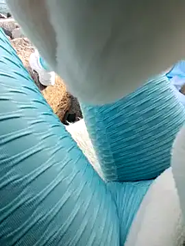 SexyErola27 online show from January 2025 03:13:02 PM