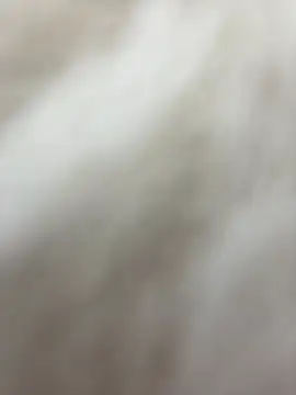 Snapshot of NewLale chatting on January 2025 06:30:02 AM NewLale online show from January 2025 06:30:02 AM