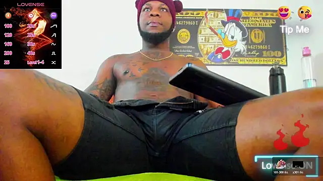 wotton 17 online show from November 2025 05:35:01 PM