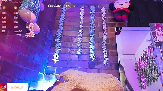 Pucaa  online show from January 2025 04:03:01 AM