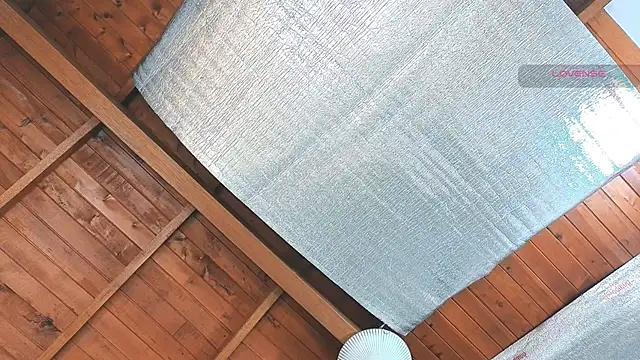 SilvaBranko online show from March 2026 12:06:02 AM