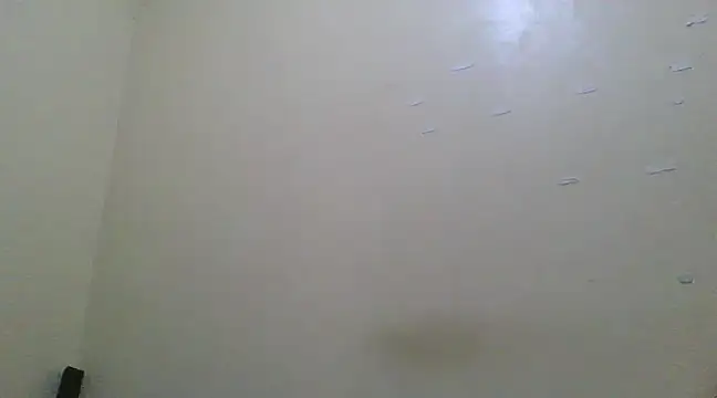 the geisha 2021k online show from March 2025 06:45:02 PM