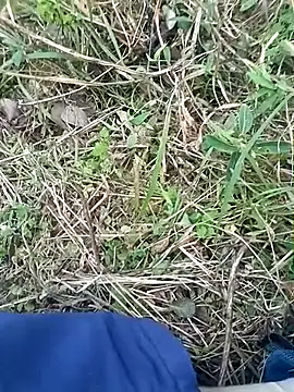 Nkumar173 online show from November 2025 11:54:01 AM