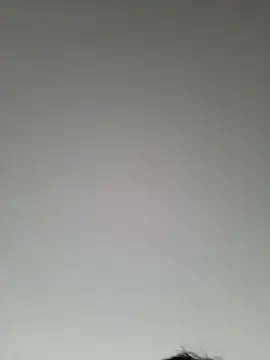 high andlow420 online show from March 2025 12:41:01 PM