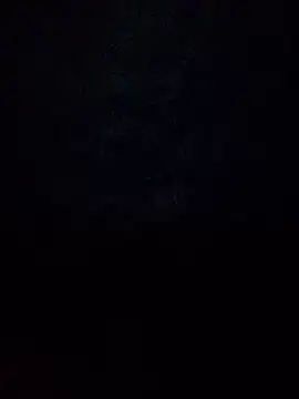 Armyexhibitionistvet online show from November 2025 02:27:02 PM