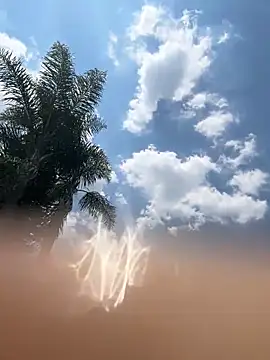 Snapshot of THEBUTTERNUT chatting on February 2026 11:02:01 AM THEBUTTERNUT online show from February 2026 11:02:01 AM