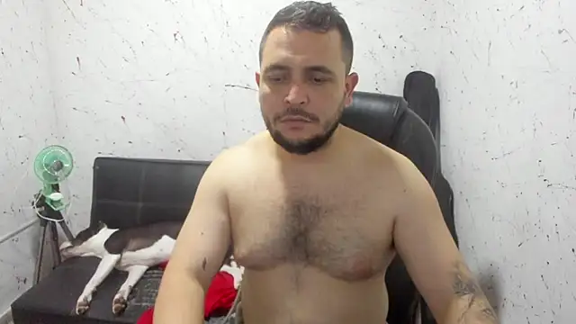  ace ventura online show from March 2026 05:02:01 AM