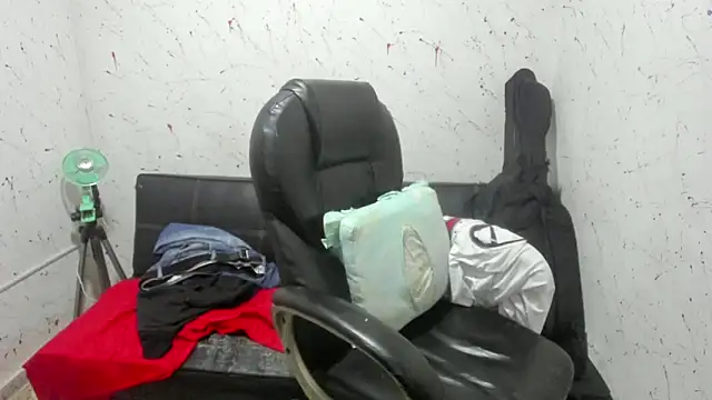  ace ventura online show from April 2026 12:28:01 AM