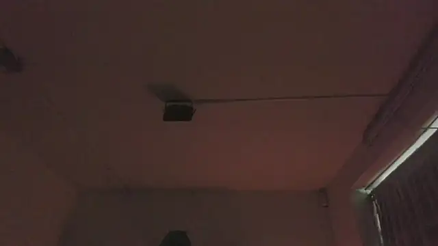 Paloma victory online show from April 2026 05:10:01 PM