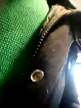 BZHsex online show from March 2025 05:28:02 PM