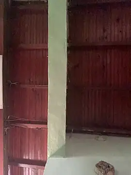 SOYMRX online show from January 2025 04:11:02 PM