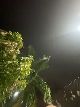 Electra doll  online show from February 2026 12:28:02 AM