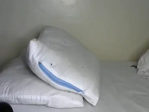 Novah  online show from April 2026 01:38:02 AM