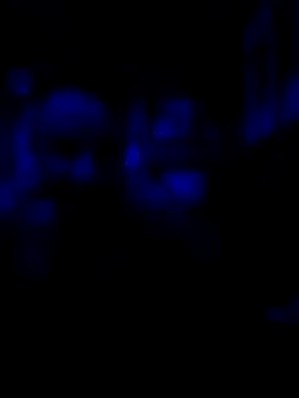 Snapshot of AlphaAlluring69 chatting on May 2026 05:46:01 AM AlphaAlluring69 online show from May 2026 05:46:01 AM