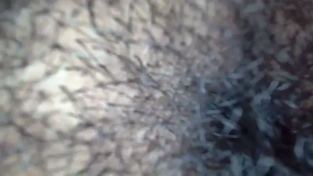 white sexy  online show from November 2025 11:41:01 PM