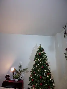 Rae Lil White online show from December 2024 11:06:02 PM