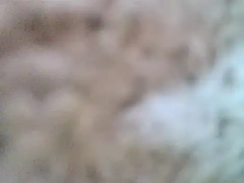 Snapshot of DaddyQuimHot chatting on February 2025 12:08:02 PM DaddyQuimHot online show from February 2025 12:08:02 PM