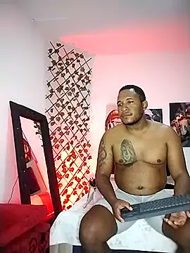 Snapshot of ARTHUR_MINI chatting on February 2026 01:04:02 AM ARTHUR MINI online show from February 2026 01:04:02 AM